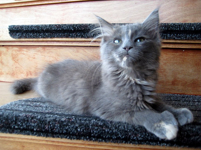 Zum Schlieen Foto anklicken!