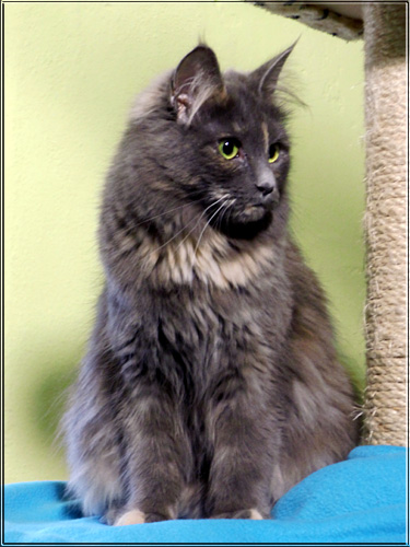 Zum Schlieen Foto anklicken!