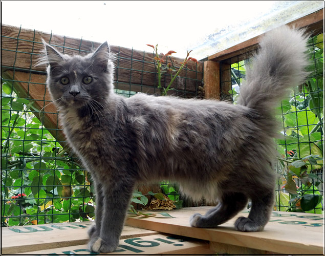 Zum Schlieen Foto anklicken!