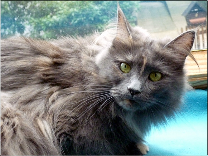 Zum Schlieen Foto anklicken!