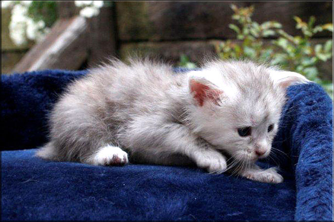 Zum Schlieen Foto anklicken!