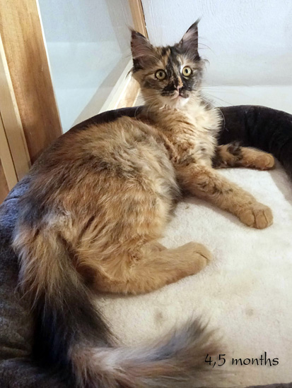 Zum Schlieen Foto anklicken!