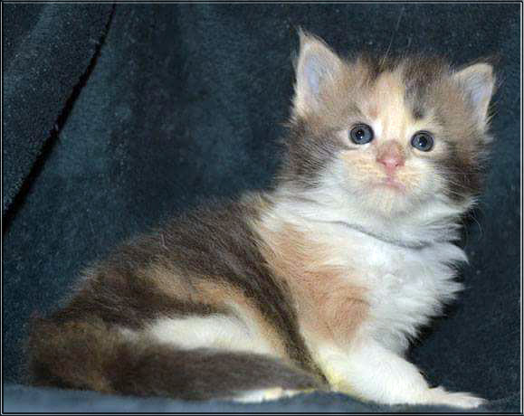 Zum Schlieen Foto anklicken!