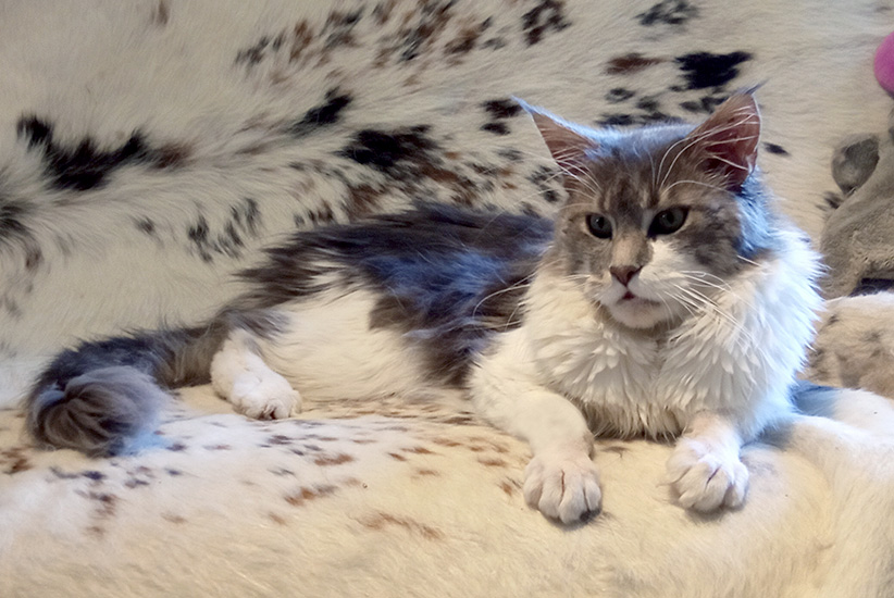 Zum Schlieen Foto anklicken!