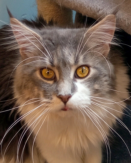 Zum Schlieen Foto anklicken!