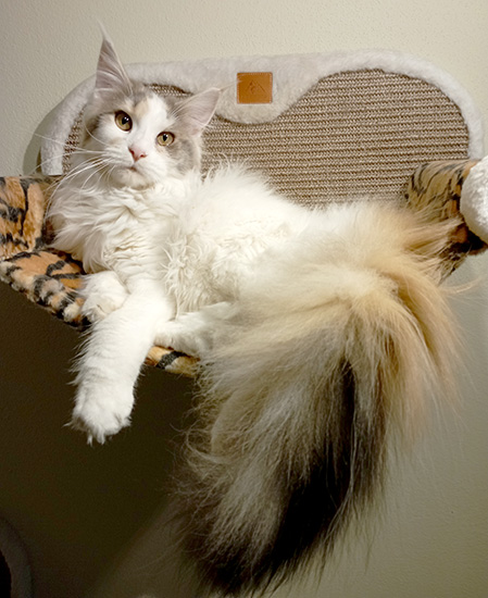 Zum Schlieen Foto anklicken!