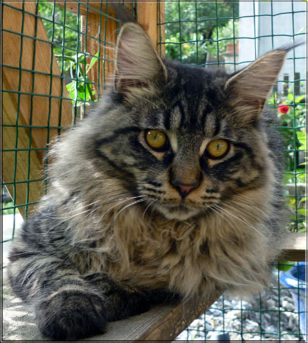 Zum Schlieen Foto anklicken!