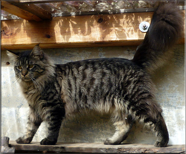 Zum Schlieen Foto anklicken!