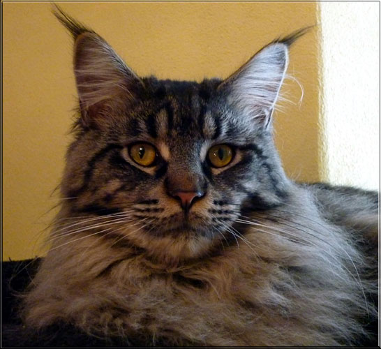 Zum Schlieen Foto anklicken!