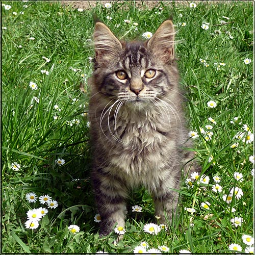 Zum Schlieen Foto anklicken!