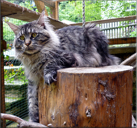 Zum Schlieen Foto anklicken!