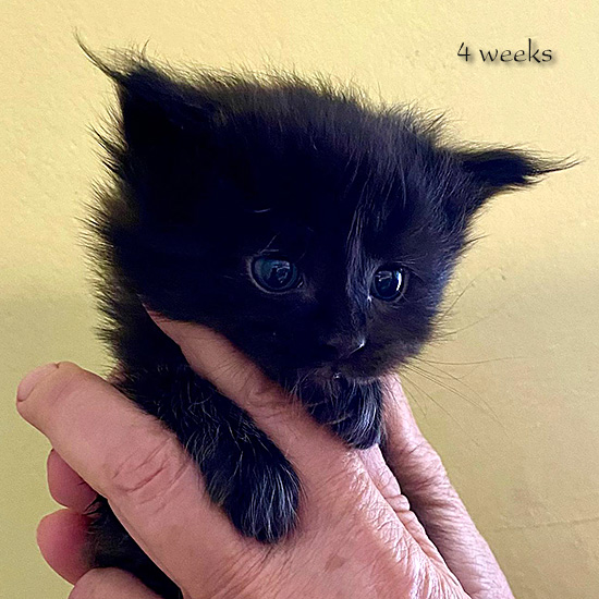 Zum Schlie�en Foto anklicken!