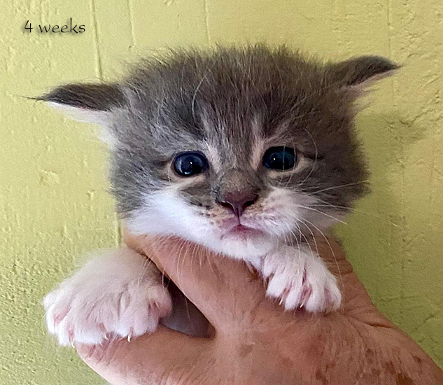 Zum Schlie�en Foto anklicken!