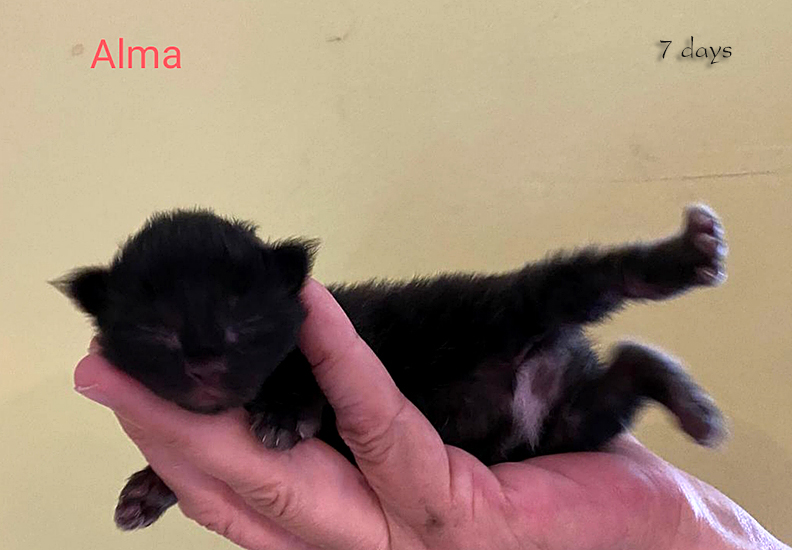 Zum Schlie�en Foto anklicken!