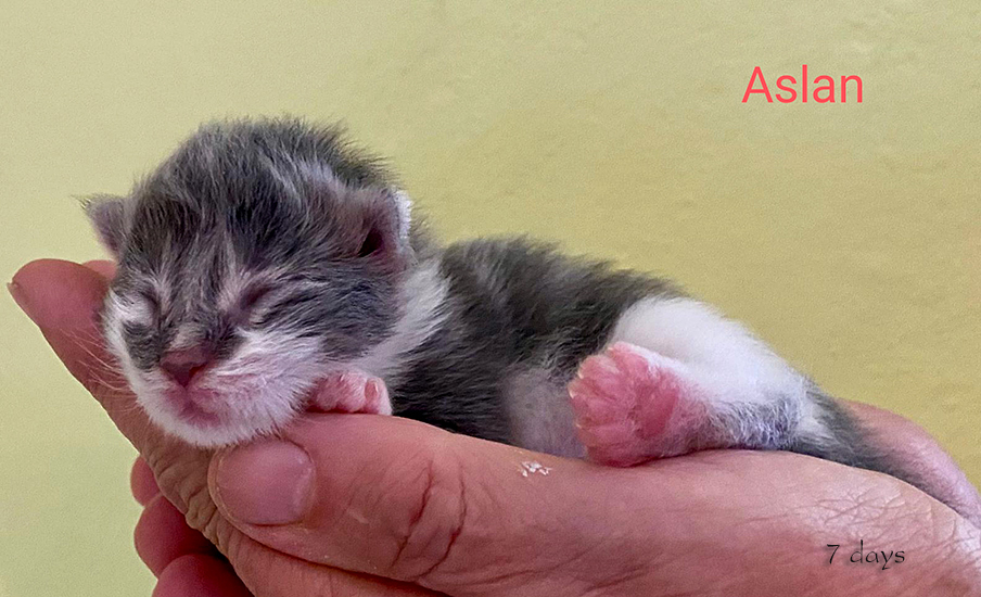 Zum Schlie�en Foto anklicken!