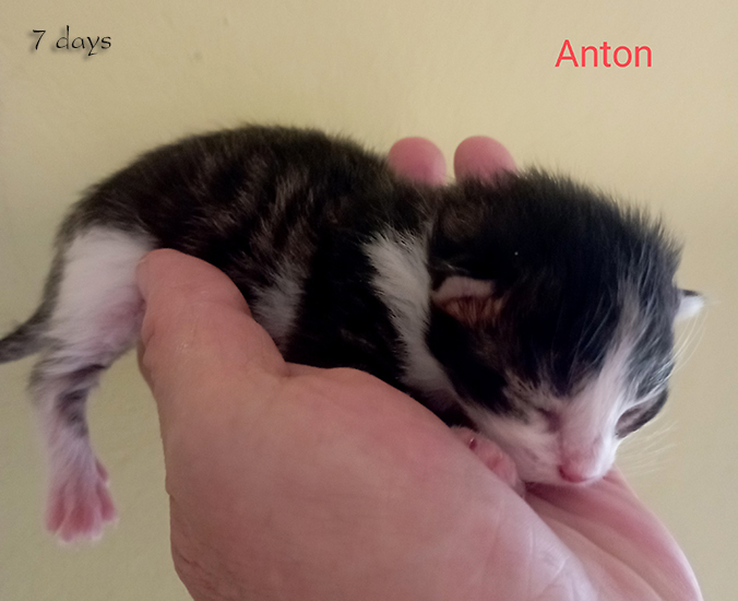 Zum Schlie�en Foto anklicken!