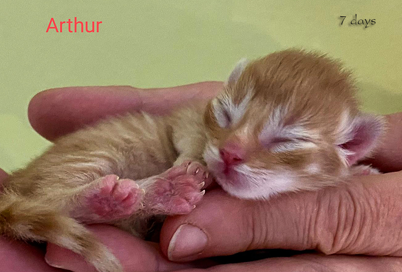 Zum Schlie�en Foto anklicken!