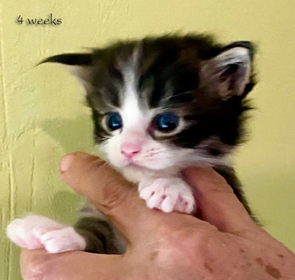 Zum Schlie�en Foto anklicken!