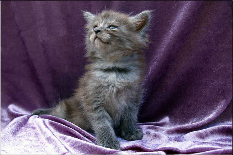 Zum Schlieen Foto anklicken!