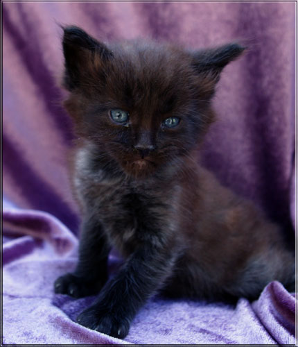 Zum Schlieen Foto anklicken!