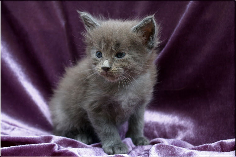 Zum Schlieen Foto anklicken!