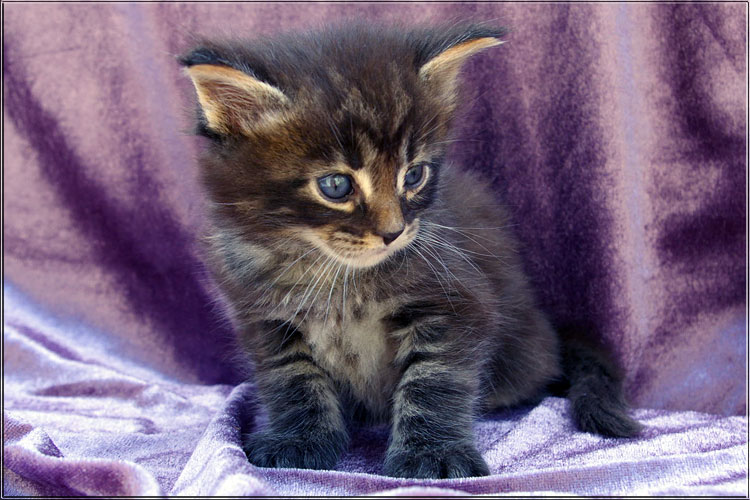 Zum Schlieen Foto anklicken!