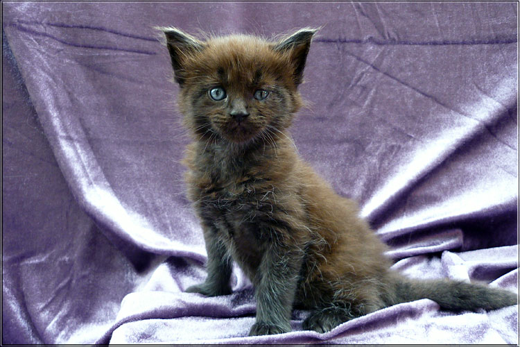 Zum Schlieen Foto anklicken!