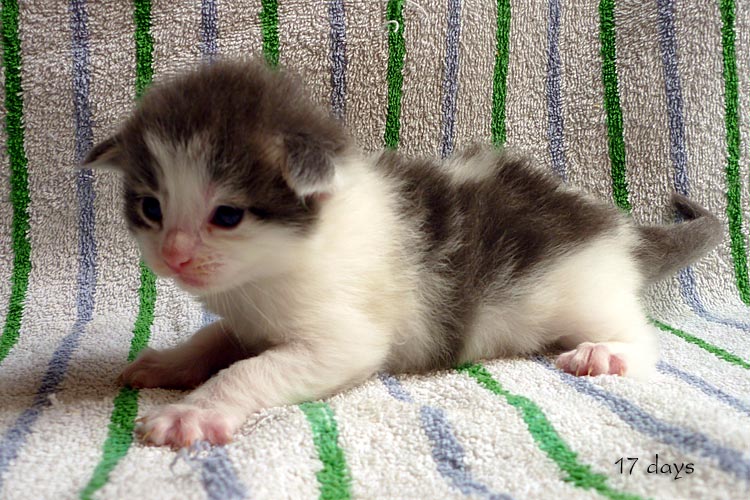 Zum Schlieen Foto anklicken!