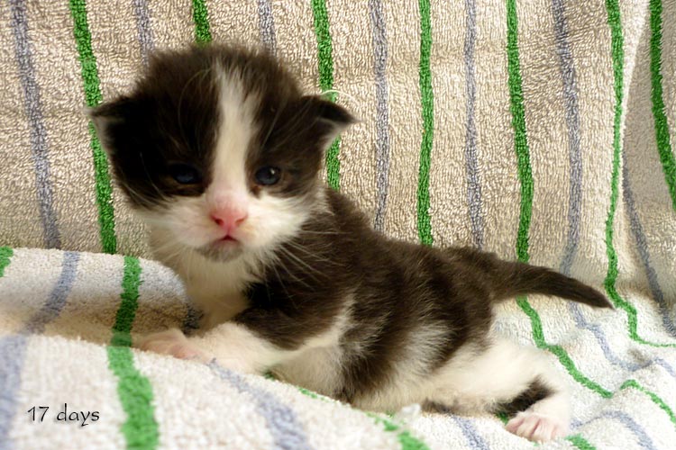 Zum Schlieen Foto anklicken!