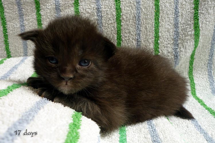 Zum Schlieen Foto anklicken!