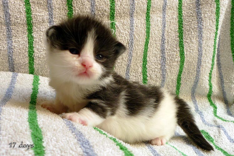 Zum Schlieen Foto anklicken!