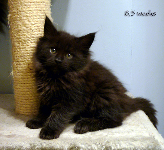 Zum Schlieen Foto anklicken!