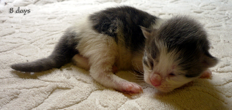 Zum Schlieen Foto anklicken!