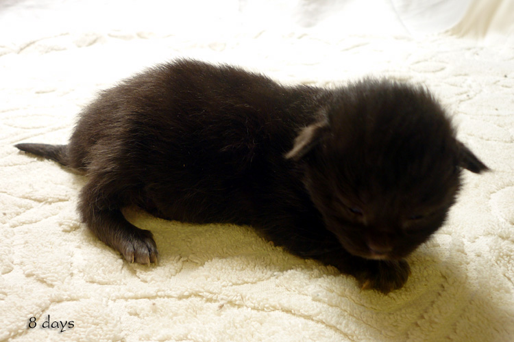 Zum Schlieen Foto anklicken!