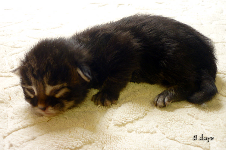 Zum Schlieen Foto anklicken!