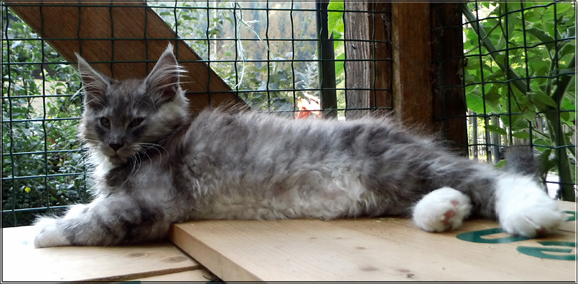 Zum Schlieen Foto anklicken!