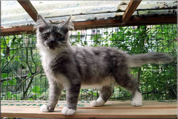 Zum Schlieen Foto anklicken!