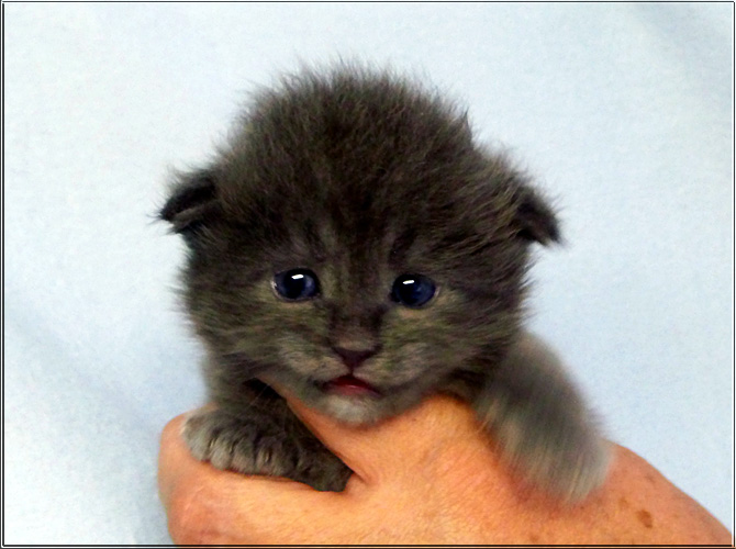 Zum Schlieen Foto anklicken!