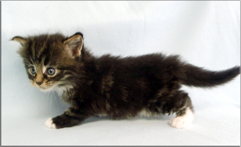 Zum Schlieen Foto anklicken!