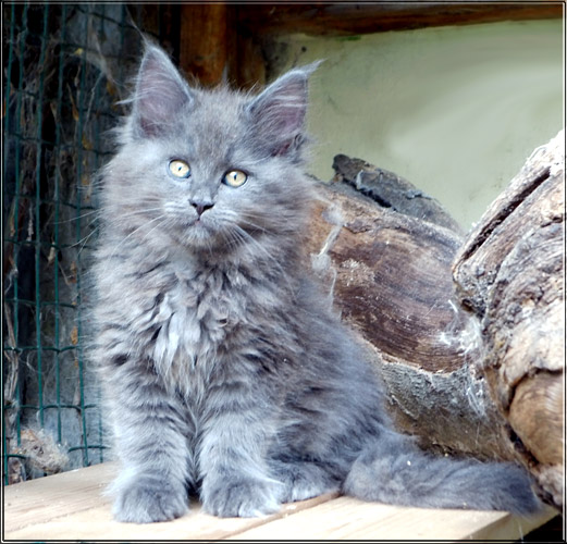 Zum Schlieen Foto anklicken!