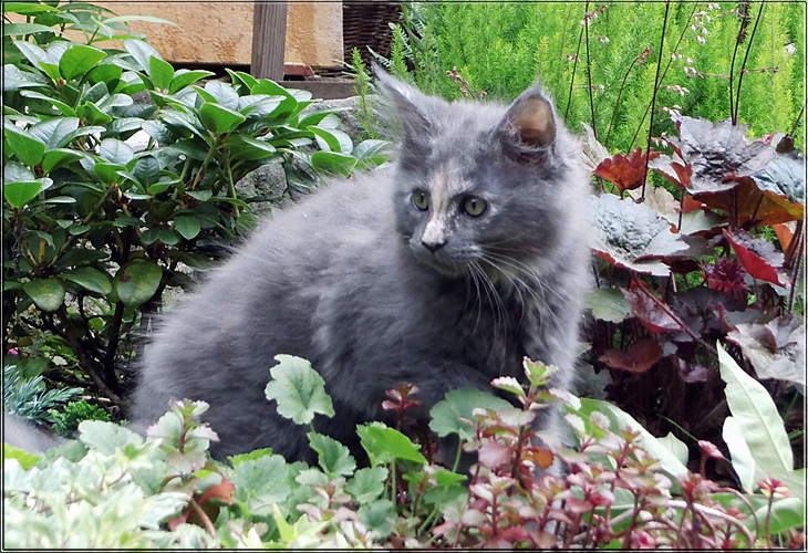 Zum Schlieen Foto anklicken!