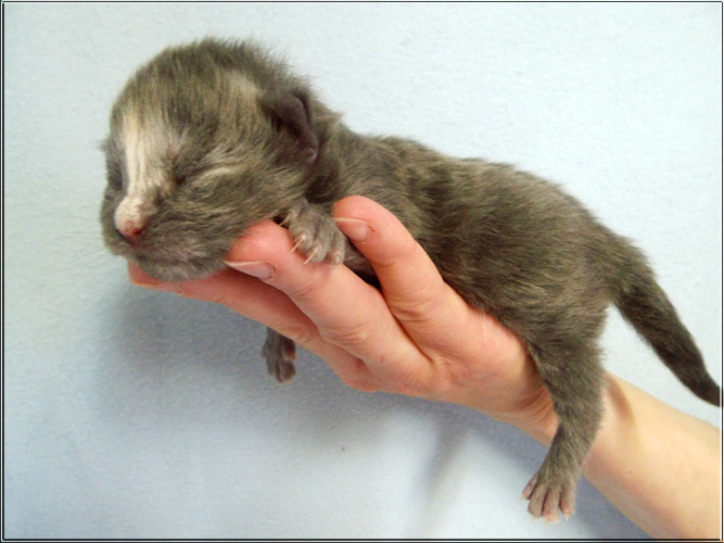 Zum Schlieen Foto anklicken!