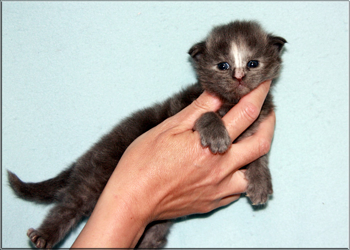 Zum Schlieen Foto anklicken!