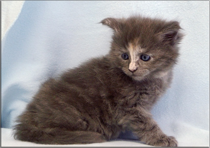 Zum Schlieen Foto anklicken!