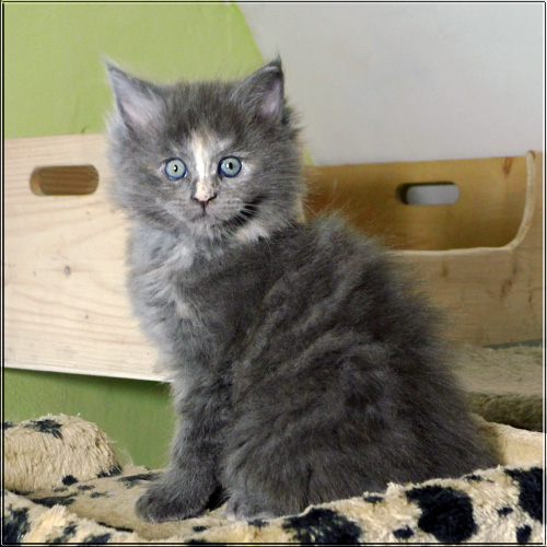 Zum Schlieen Foto anklicken!