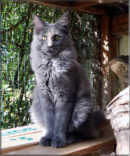 Zum Schlieen Foto anklicken!