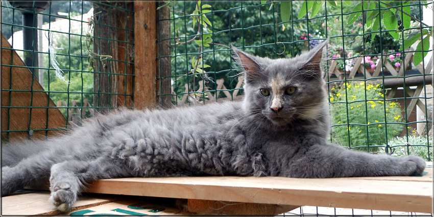 Zum Schlieen Foto anklicken!